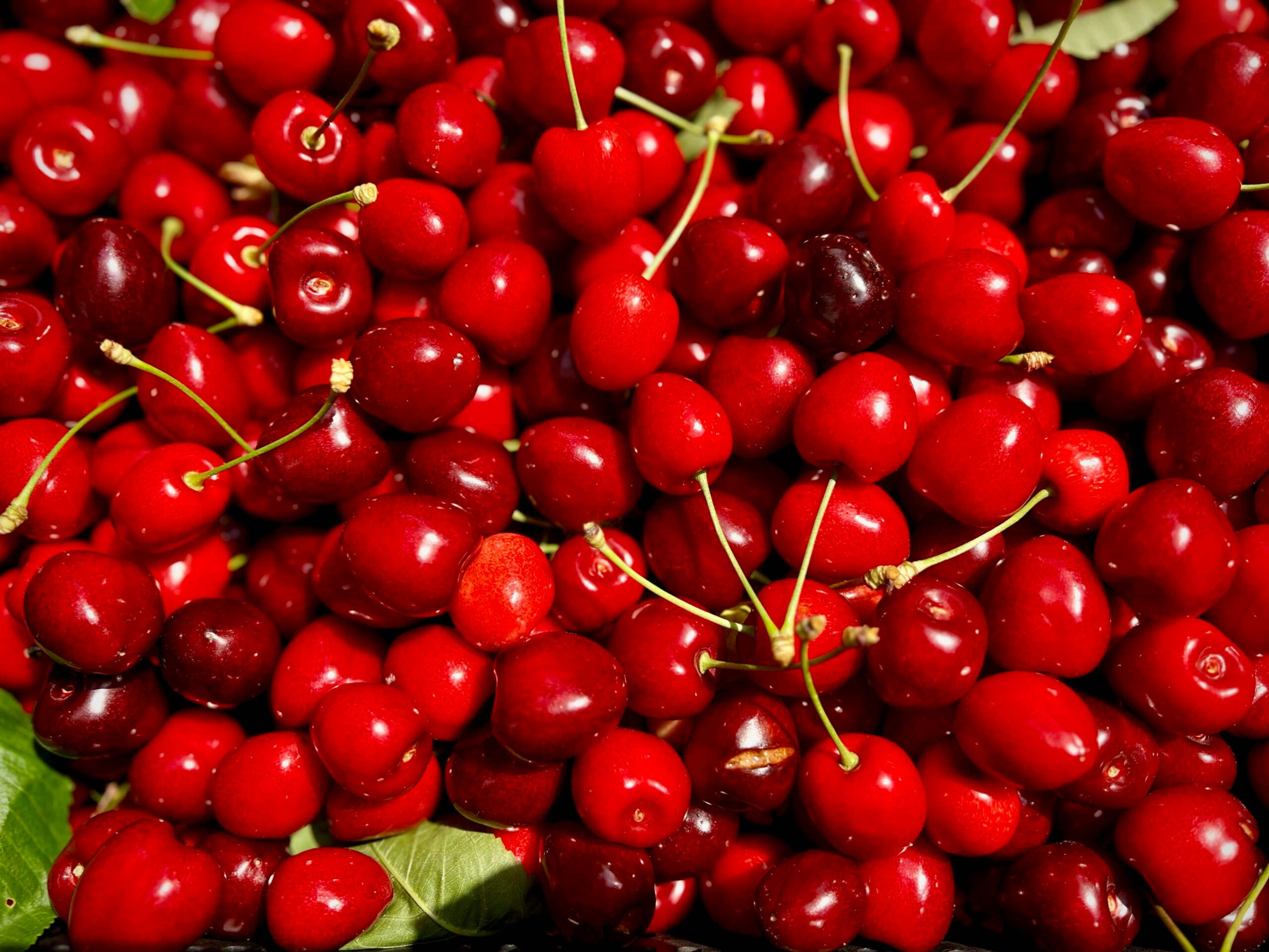 Cherry Pie Recipes Sweet and Tart Desserts