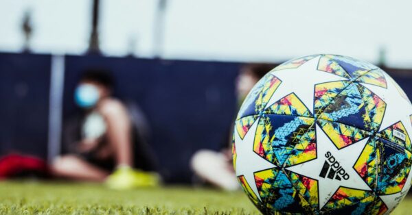 Economic Analysis of Sports Investments