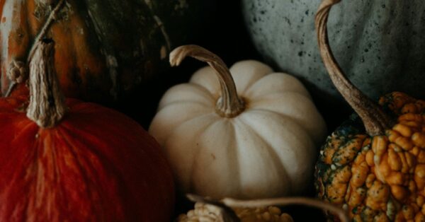 Fall Harvest Recipes Using Autumn’s Bounty