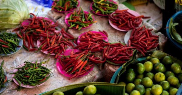 Indian Cuisine Exploring Spices Techniques and Traditional Recipes