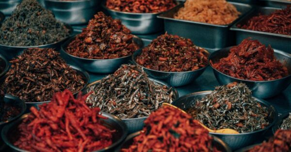 Indonesian Cuisine Spices of the Spice Islands